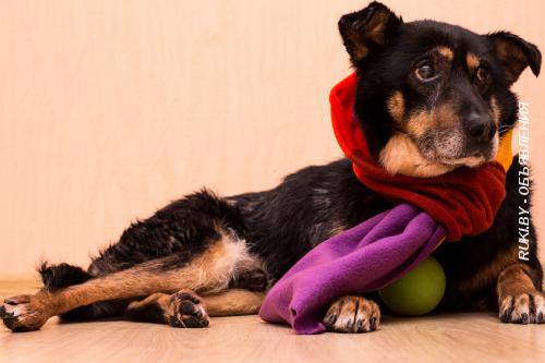 Фотограф. Минская область, Логойск