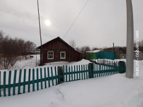 Щенки Китайской хохлатой. Минск