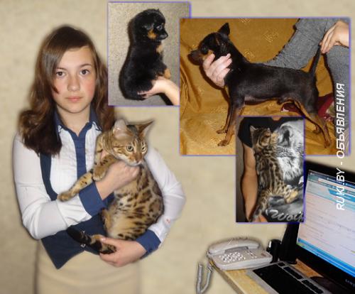 Оформление родословных. Могилевская область, Бобруйск