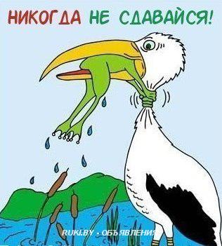 Репетитор по истории Беларуси и обществоведению. Минск